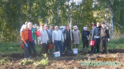 Воспитанники православной гимназии собирали на приходском поле картошку